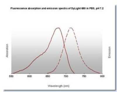 Fluorophore-linked immunosorbent assay: Goat anti-Human IgM Heavy Chain Secondary Antibody [DyLight 680] [NBP1-72866] - Fluorescence absorption and emission spectra of Dylight 680 in PBS, pH 7.2.
